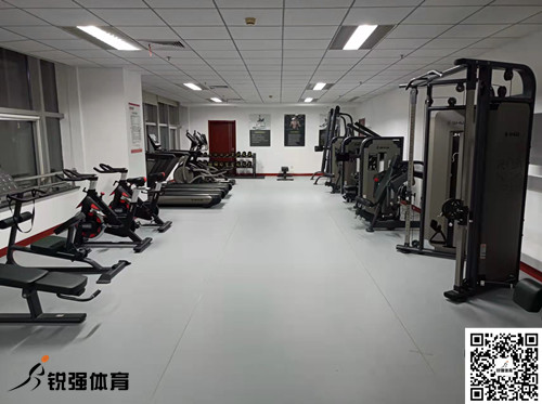 濟(jì)南某集團(tuán)采購(gòu)的VSPORTS体育官网體育提供的健身器材